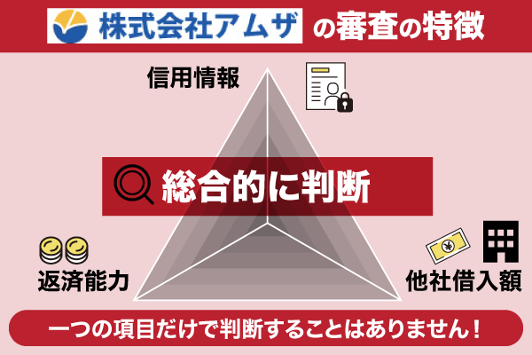 アムザの審査の特徴
