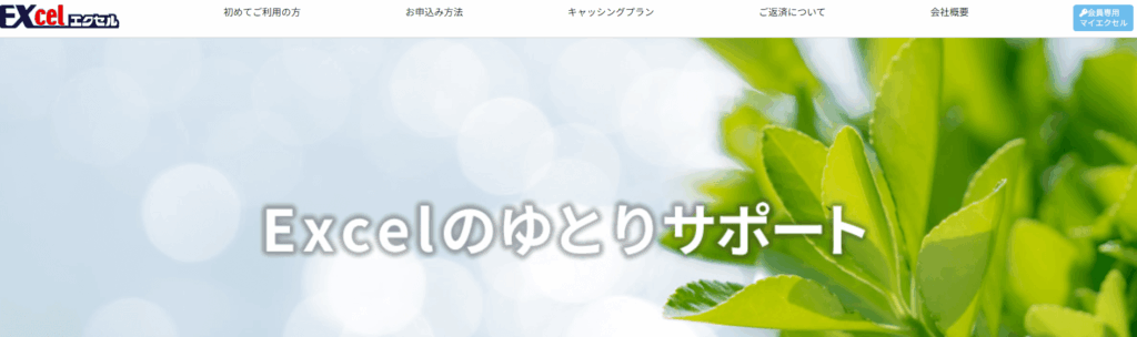 エクセルのHPキャプチャ